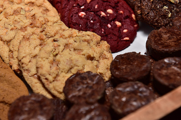 DSC_1377