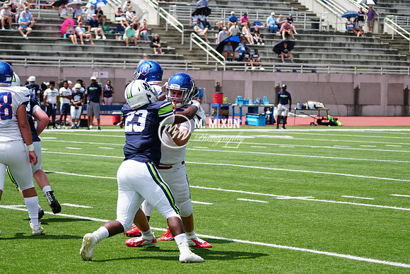 MMP05914